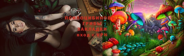 шишки Навашино