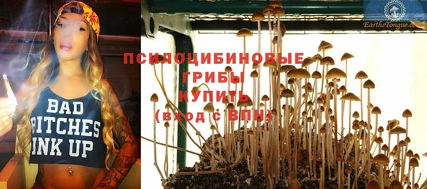 гашик Наволоки