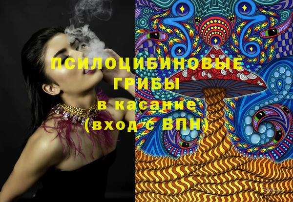 бошки Ветлуга