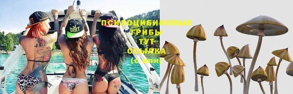 соль ск Надым