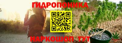 ешки Бийск