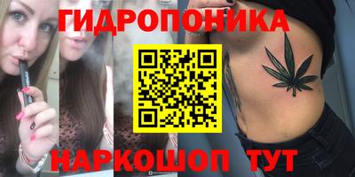 ешки Бийск