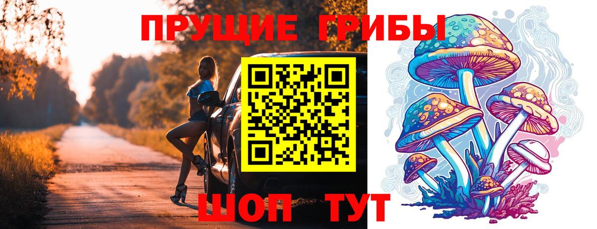 Галлюциногенные грибы Psilocybine cubensis Серов