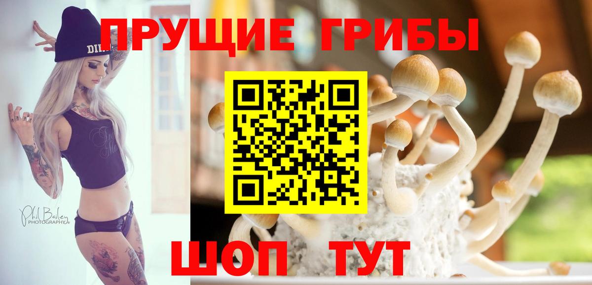продажа наркотиков  Серов  Галлюциногенные грибы MAGIC MUSHROOMS  Псилоцибиновые грибы мухоморы 